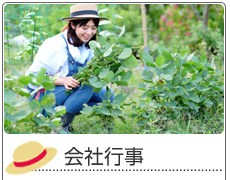 会社行事